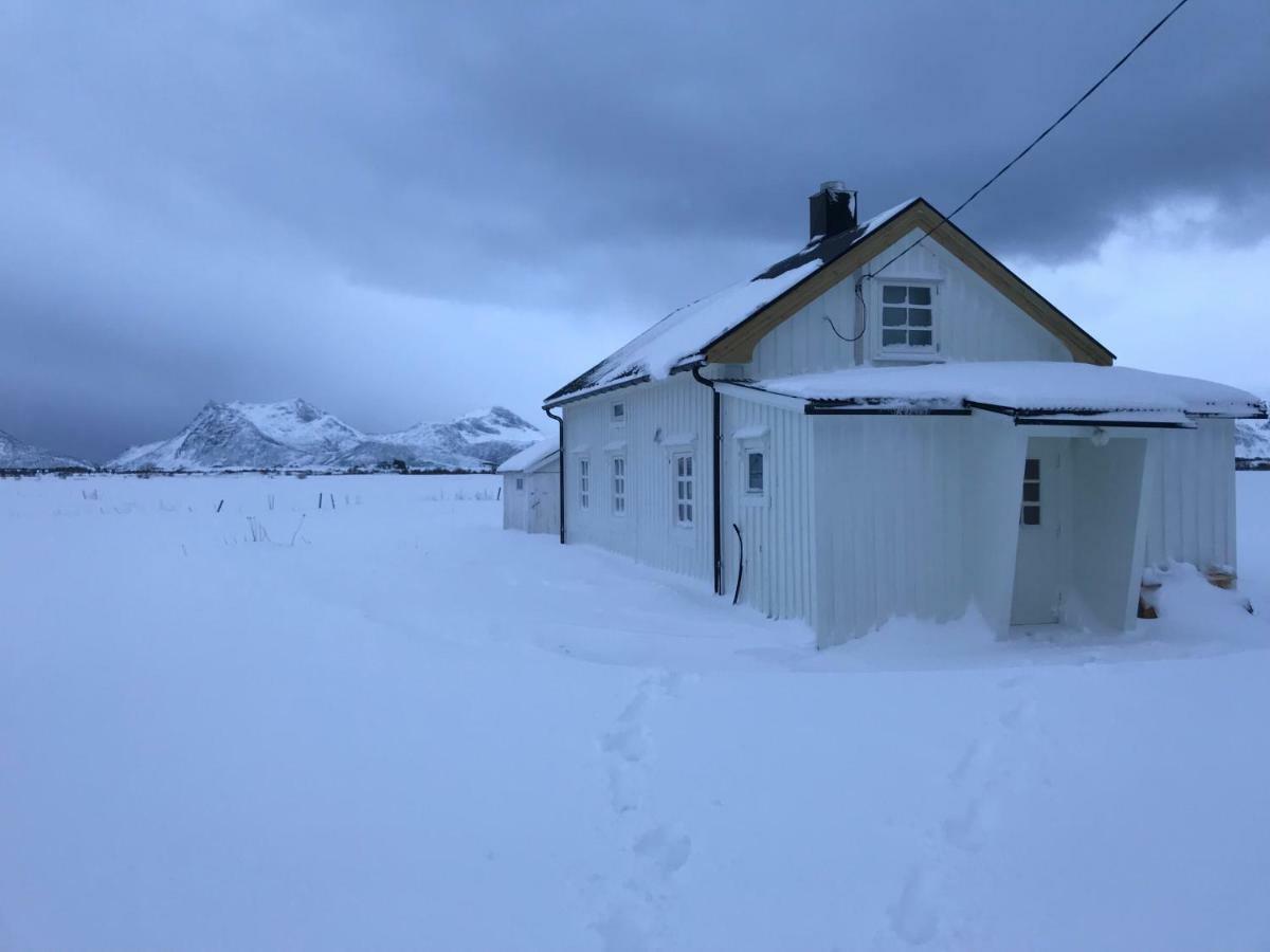 Narnia Lodge Lofoten Gimsoy Exterior foto