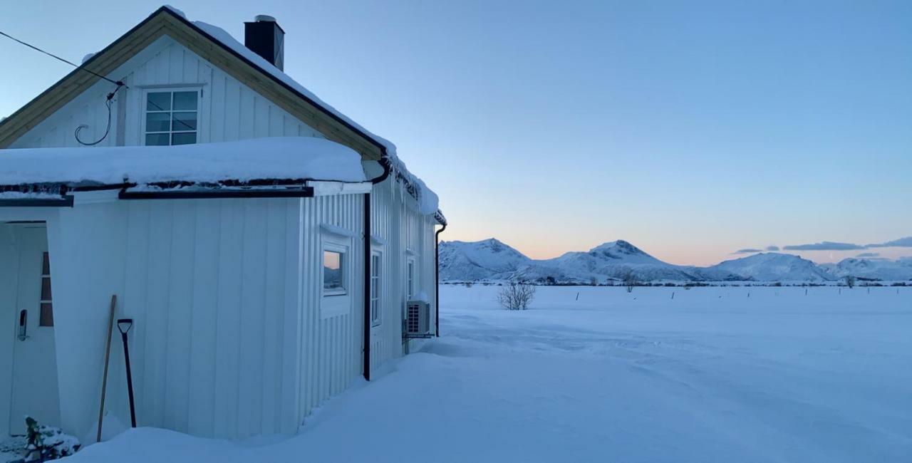 Narnia Lodge Lofoten Gimsoy Exterior foto