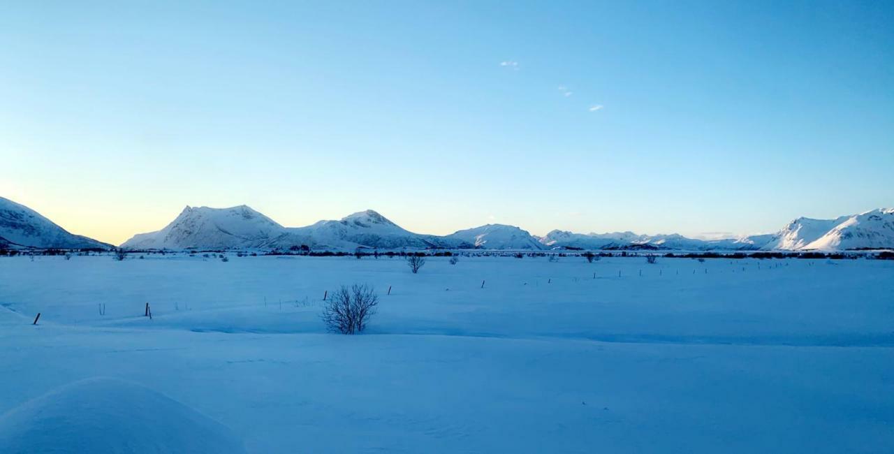 Narnia Lodge Lofoten Gimsoy Exterior foto