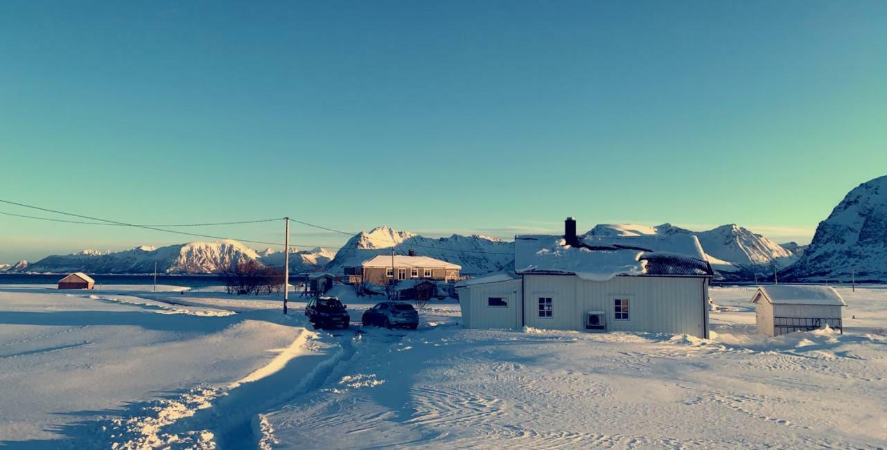 Narnia Lodge Lofoten Gimsoy Exterior foto