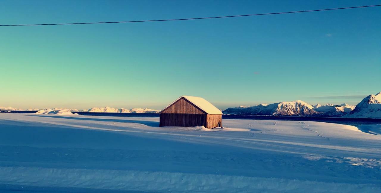 Narnia Lodge Lofoten Gimsoy Exterior foto