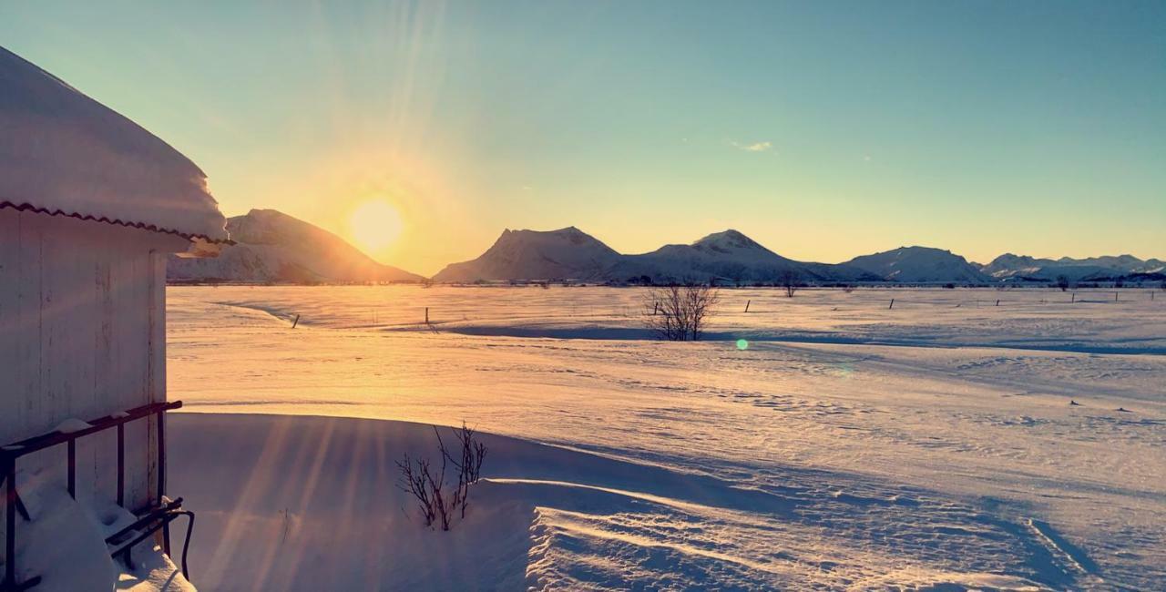 Narnia Lodge Lofoten Gimsoy Exterior foto